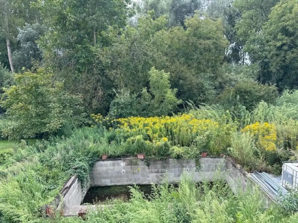 TRAUMHAUS mit POOL am AUWALD mit Blick ins GRÜNE