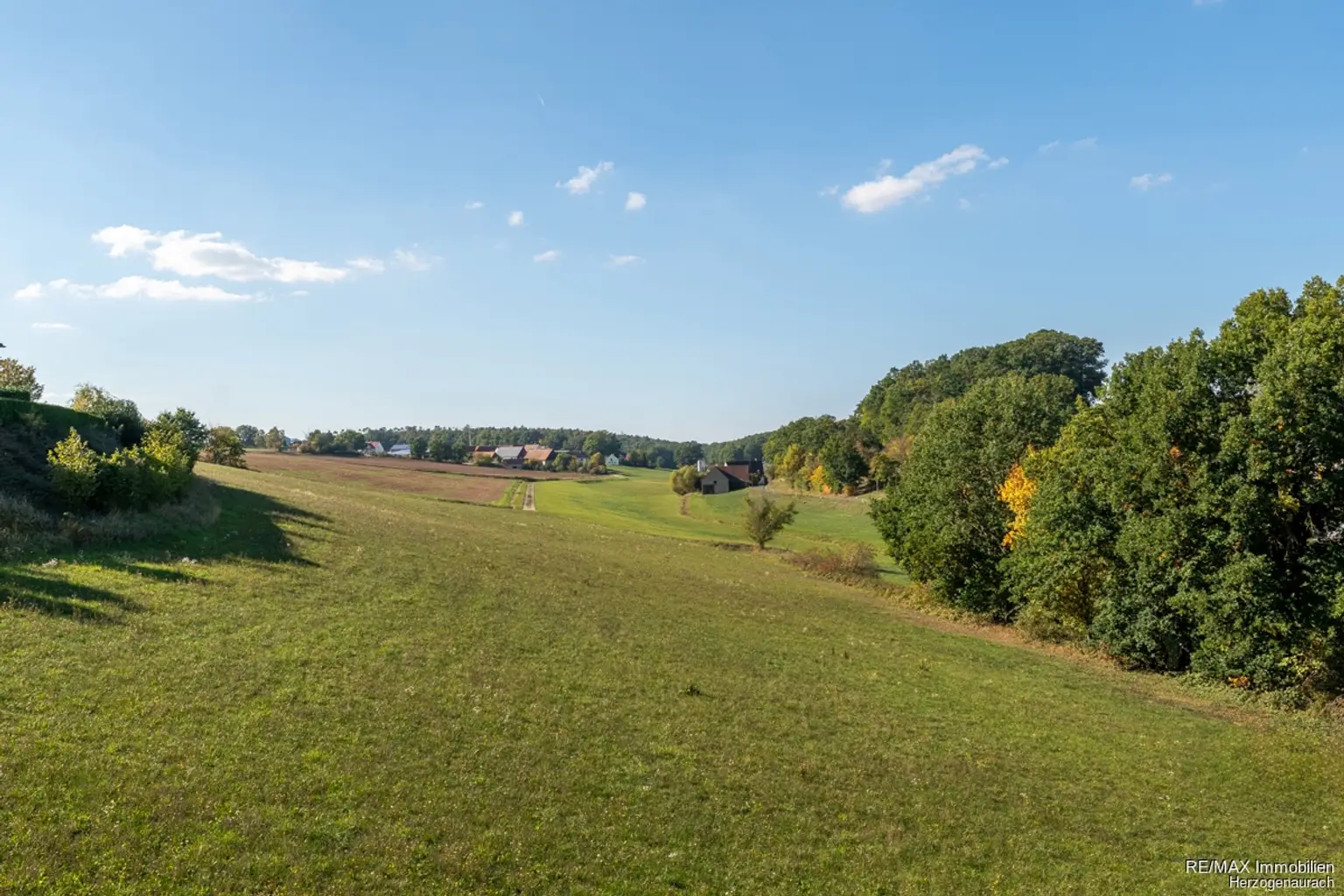 Fernblick