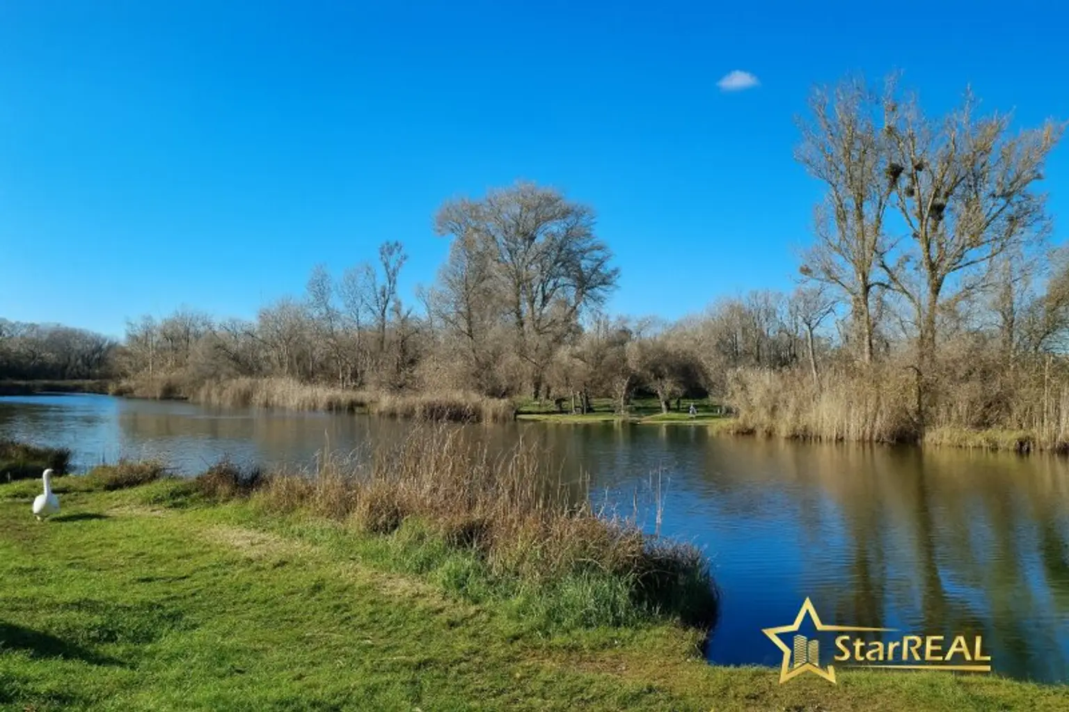 Mühlwasser 80 Meter