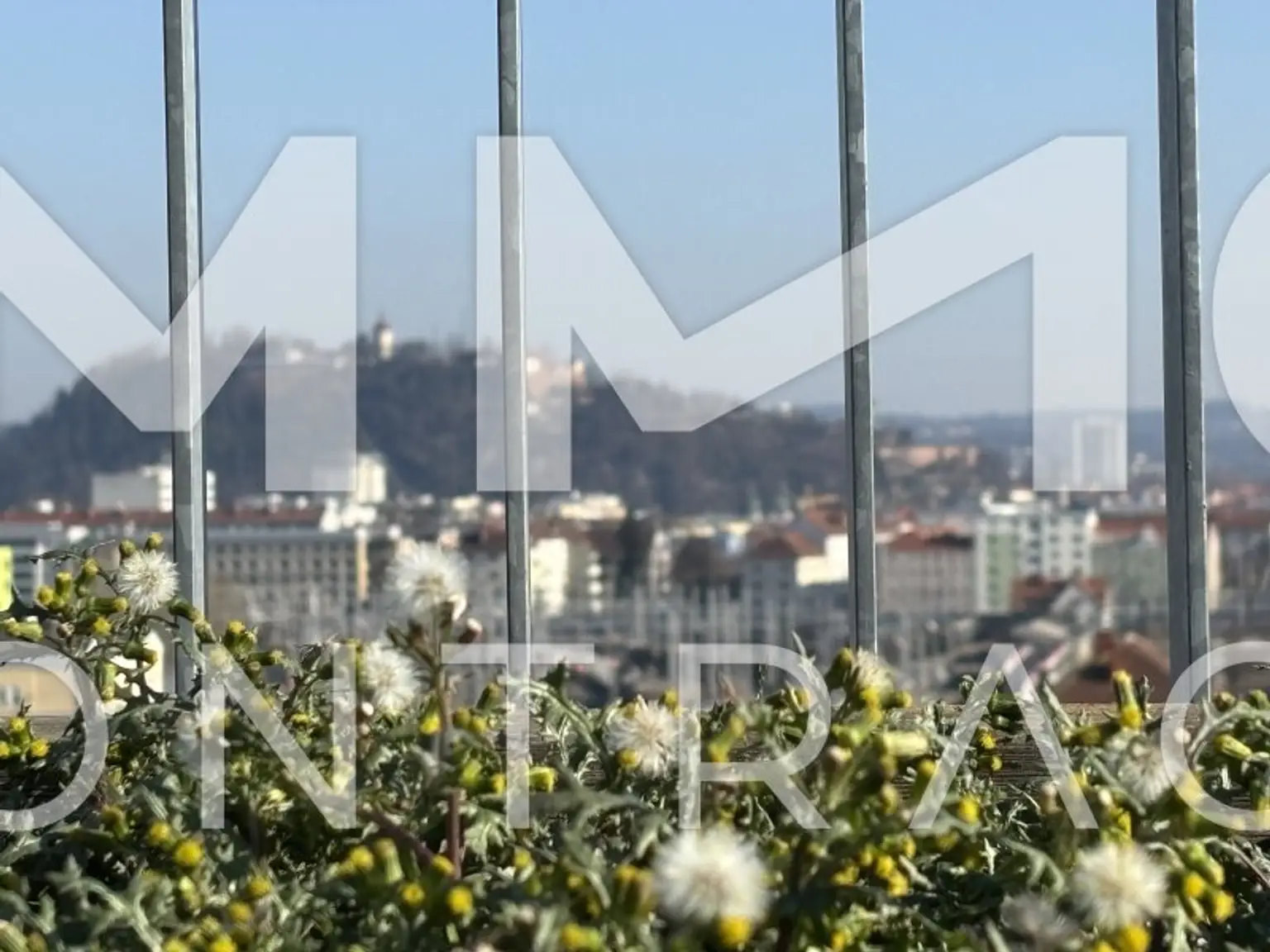 Aufblühen in Reininghaus