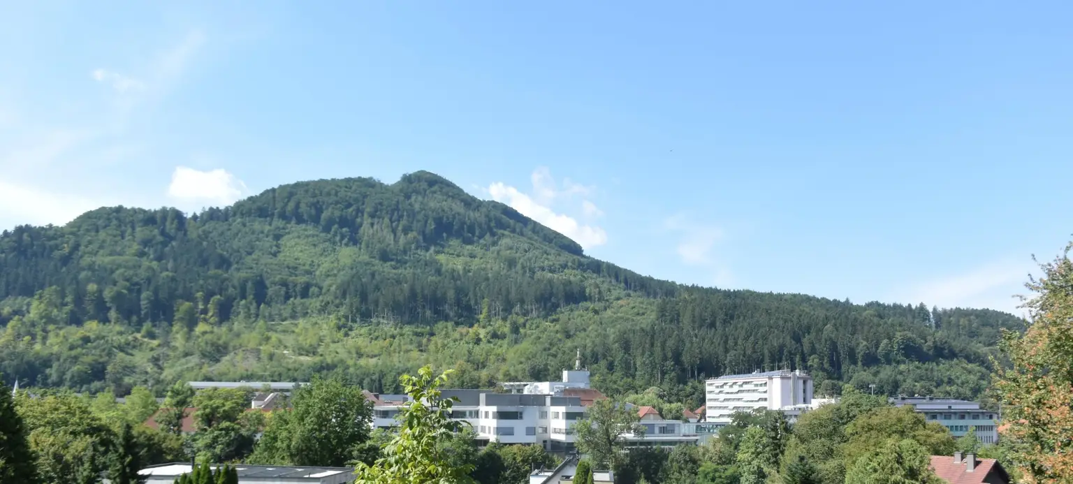 Großes Baugrundstück in Zell