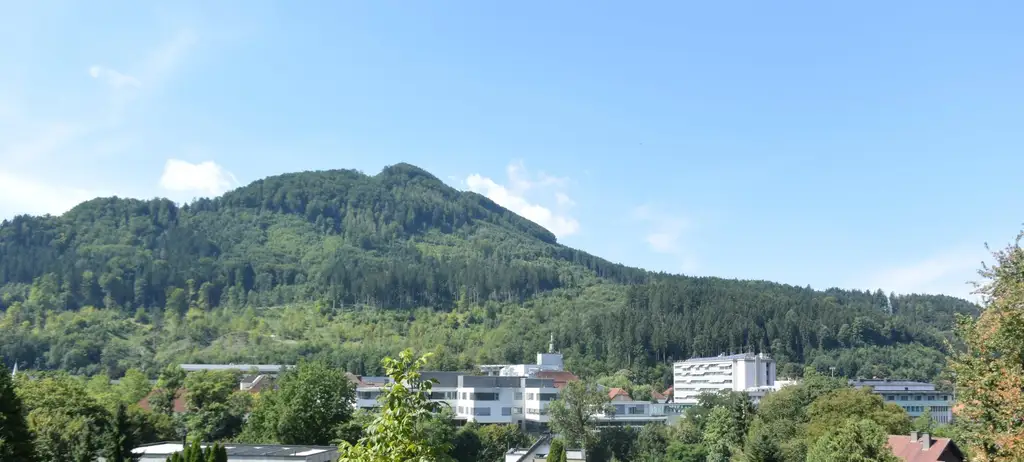 Großes Baugrundstück in Zell