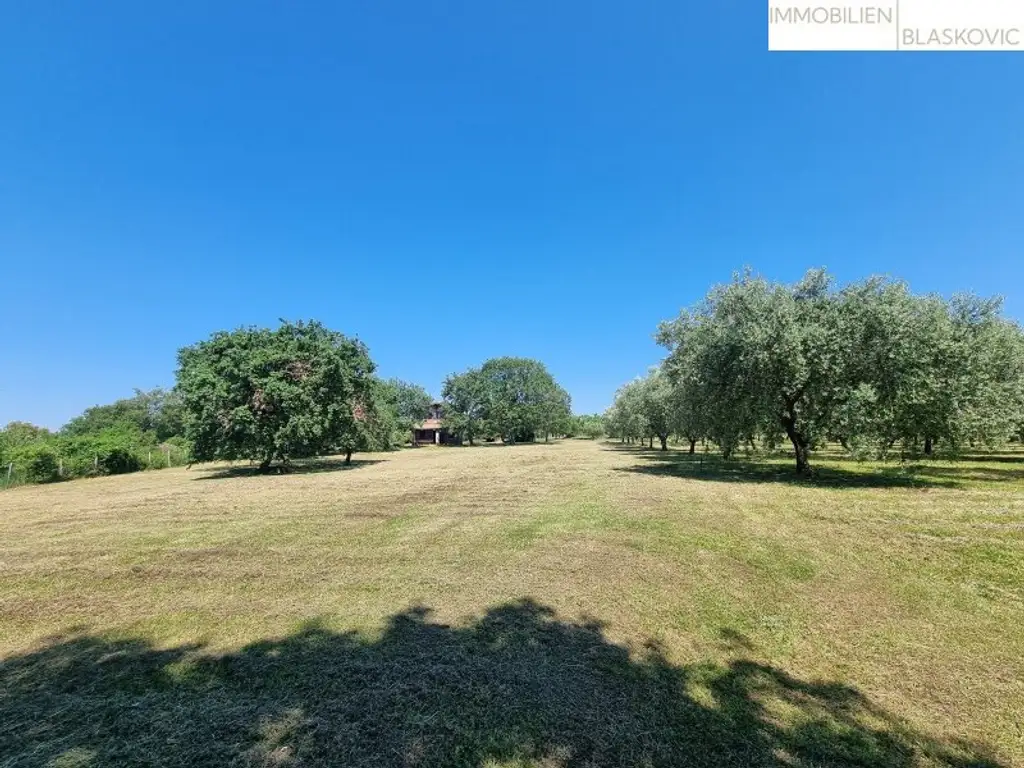 Rarität - Steinhaus auf einem Grundstück mit 17.700 m2 - teilweise touristische Zone!!