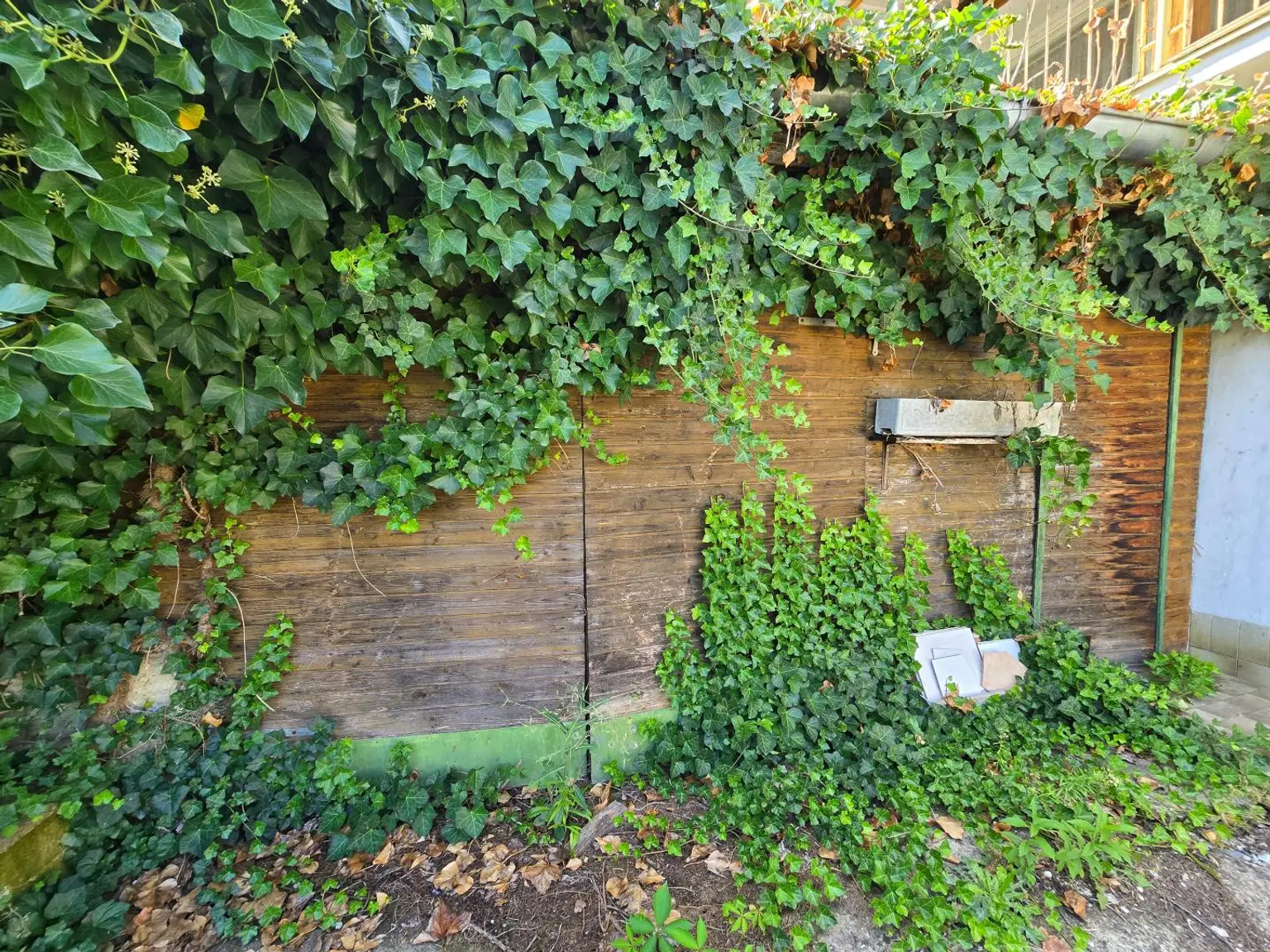 Schönes Grundstück mit sanierungsbedürftigem Haus – ideal für Bastler und Visionäre