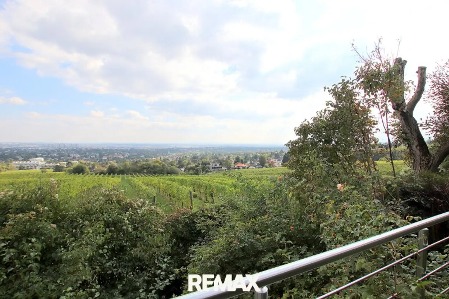 Eigengrund: Grünland mit Gartenhaus - Großes Grundstück in Mauer am Kadoltsberg - direkt am Lainzer Tiergarten