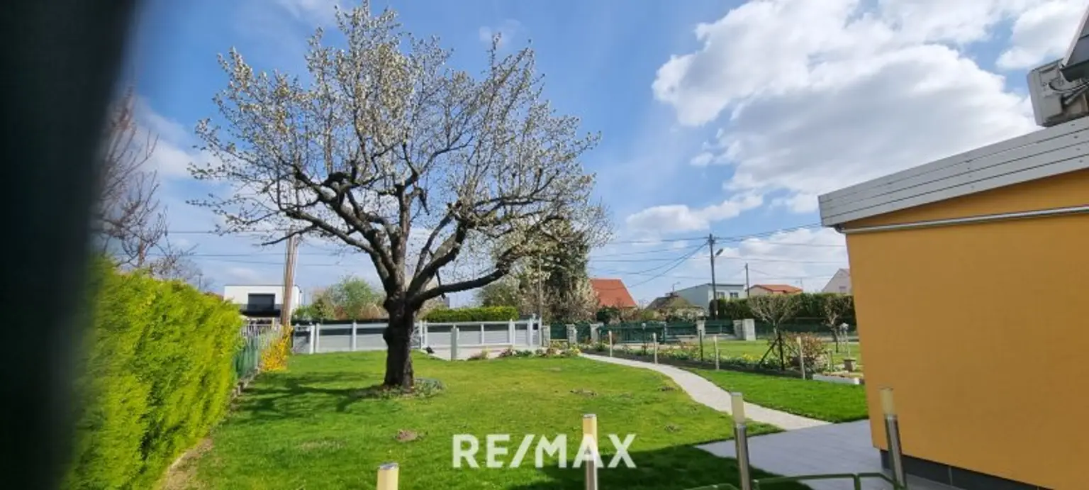 Der Frühling beginnt ...