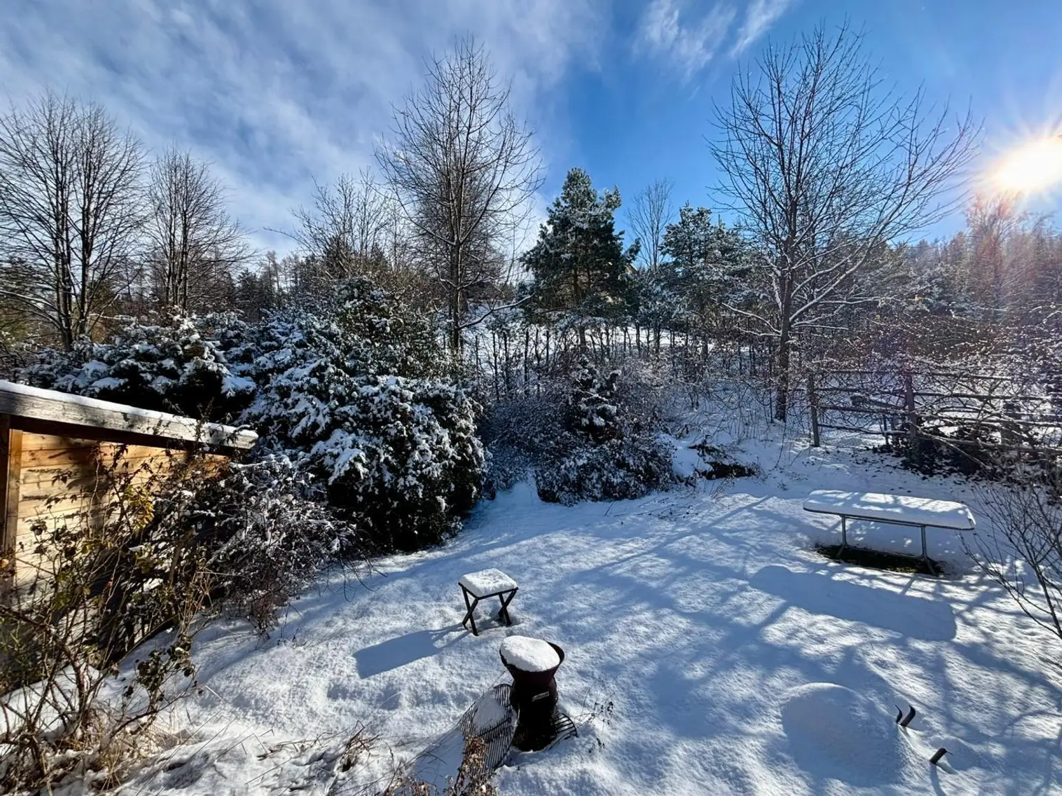 Garten im Winter
