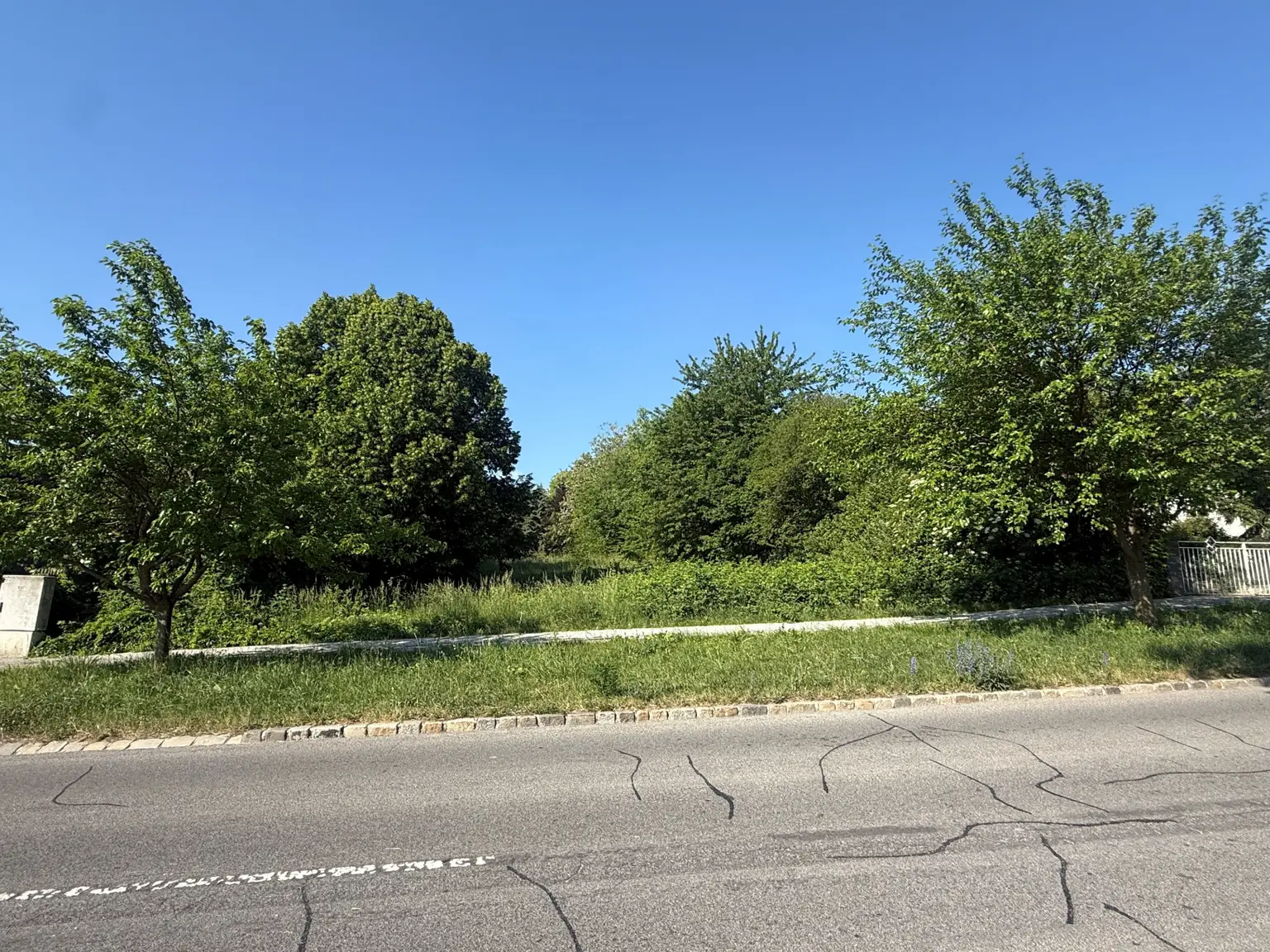 Ansicht (Gegenüberliegende Straßenseite)
