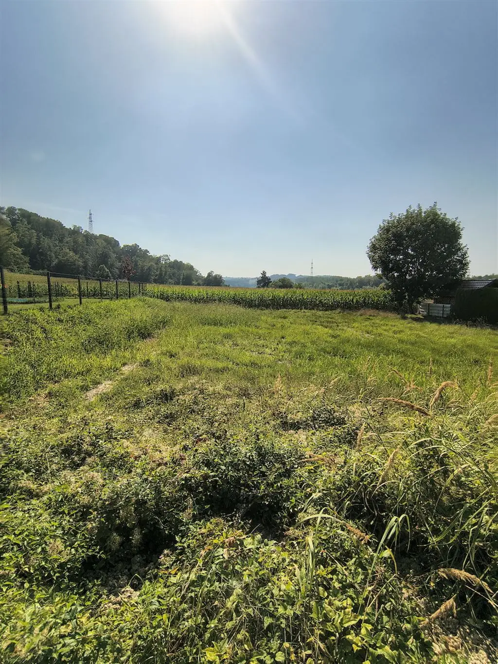 3313 Wallsee/Nähe Donau: Sonniges Baugrundstück in sehr guter, ruhiger Lage