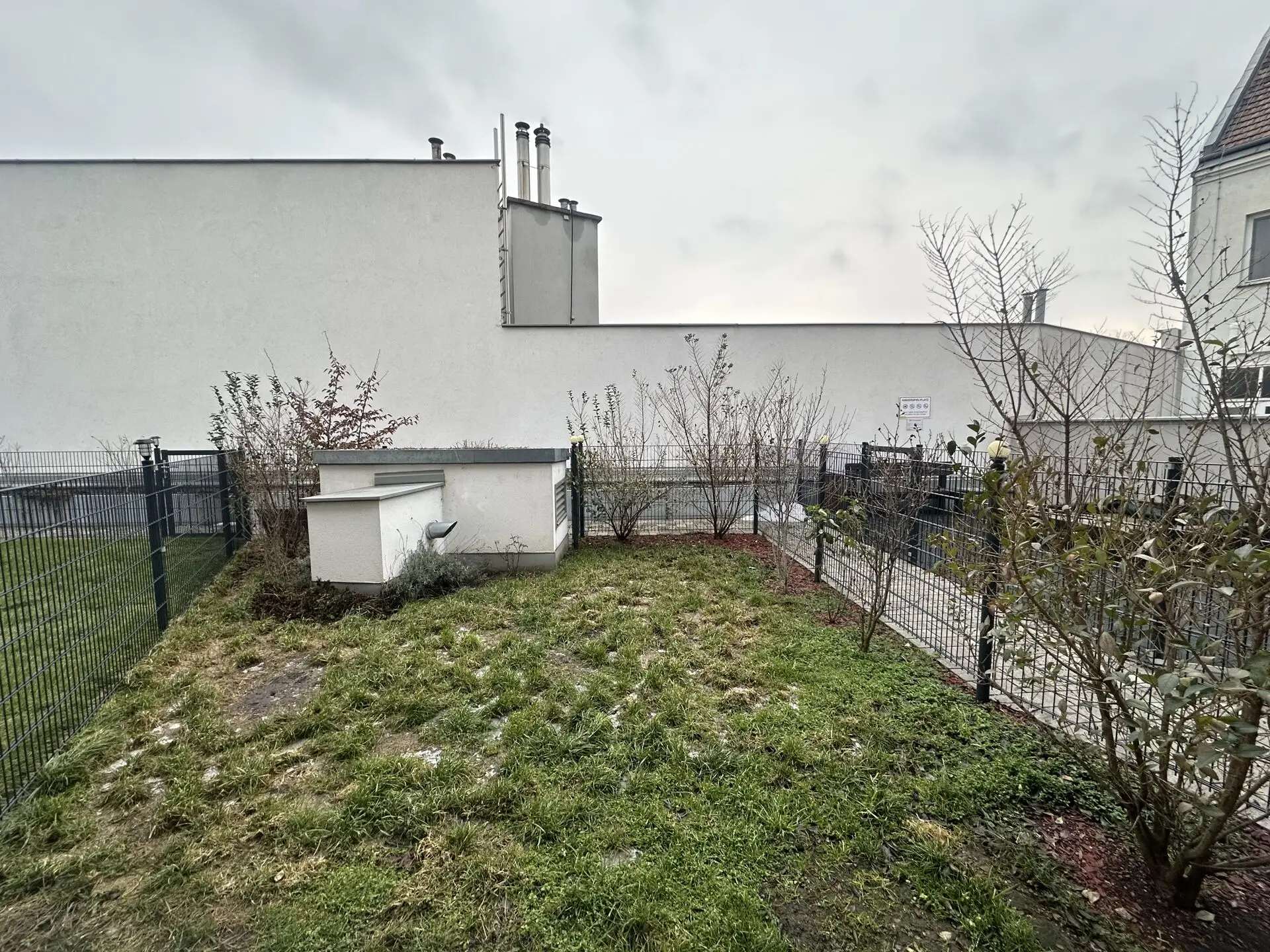 20260129_143646539_iOS