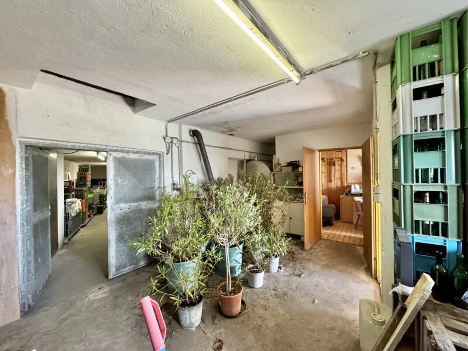 Weinkeller in idyllischer Kellergasse | Nähe Langenlois