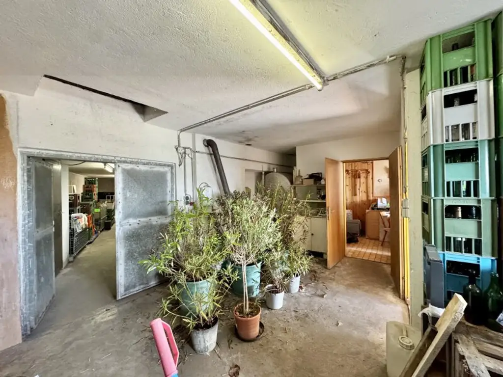Weinkeller in idyllischer Kellergasse | Nähe Langenlois