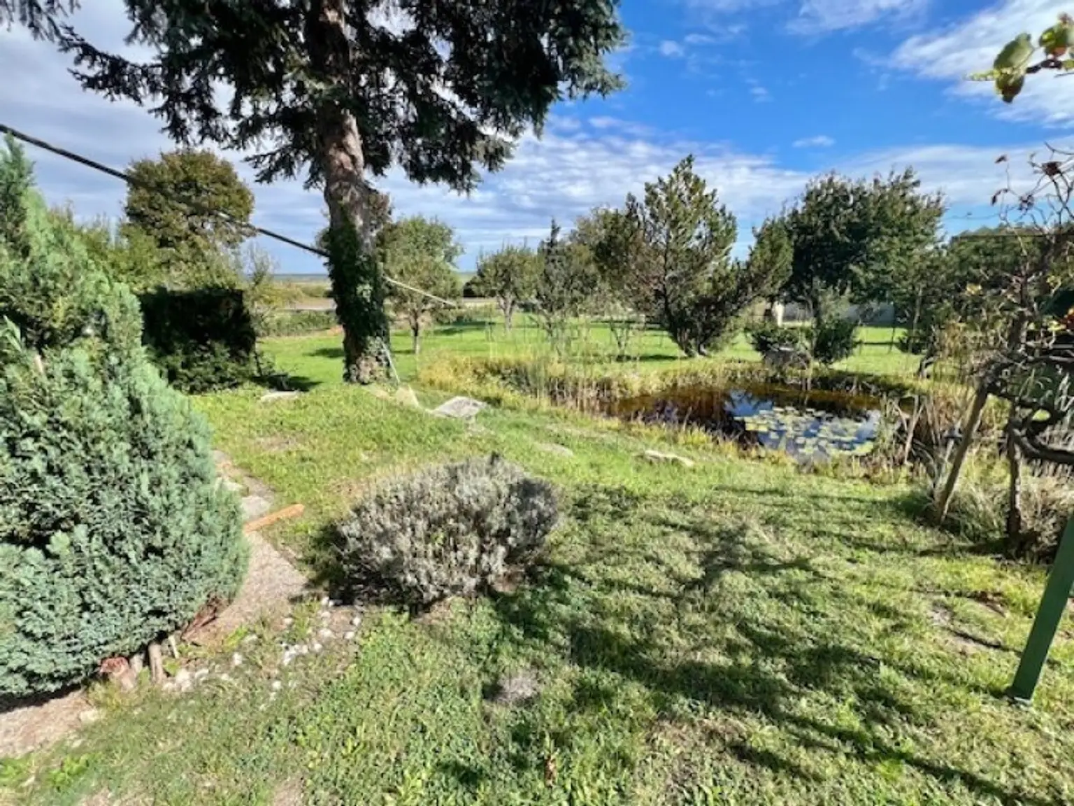 Seeblick inklusive! Bungalow mit 3 Schlafzimmern und charmantem Garten- mit Erweiterungsmöglichkeit!