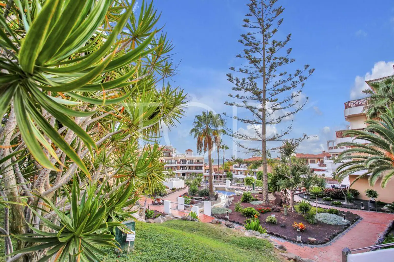 Apartment-Gof-del-sur-xxx-Tenerife34