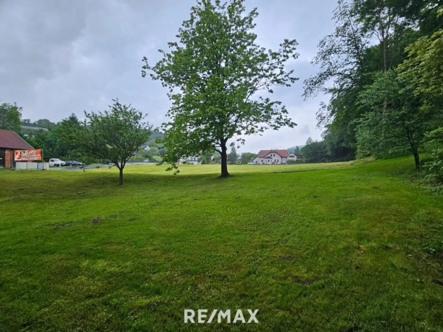 Garten - Wiesenfläche