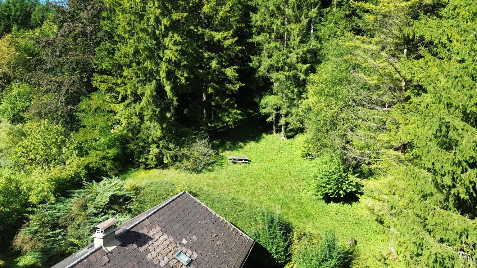 Naturnah wohnen – Einfamilienhaus am Waldrand