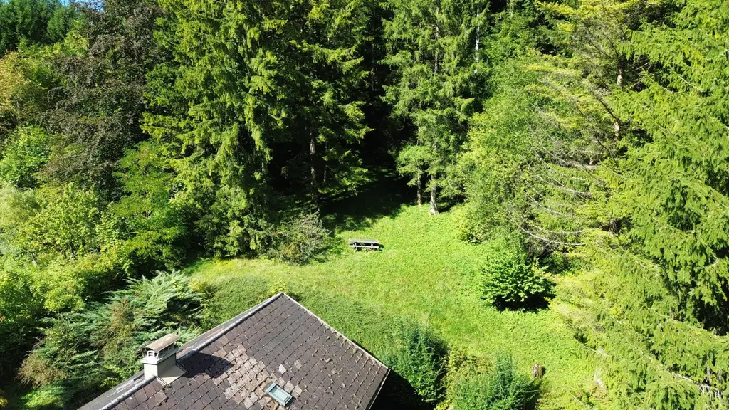 Naturnah wohnen – Einfamilienhaus am Waldrand