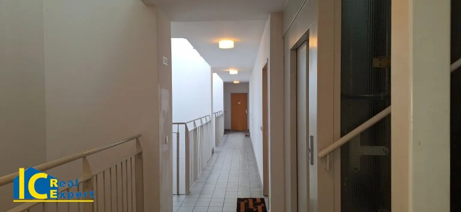 Gepflegtes Stiegenhaus mit Aufzug