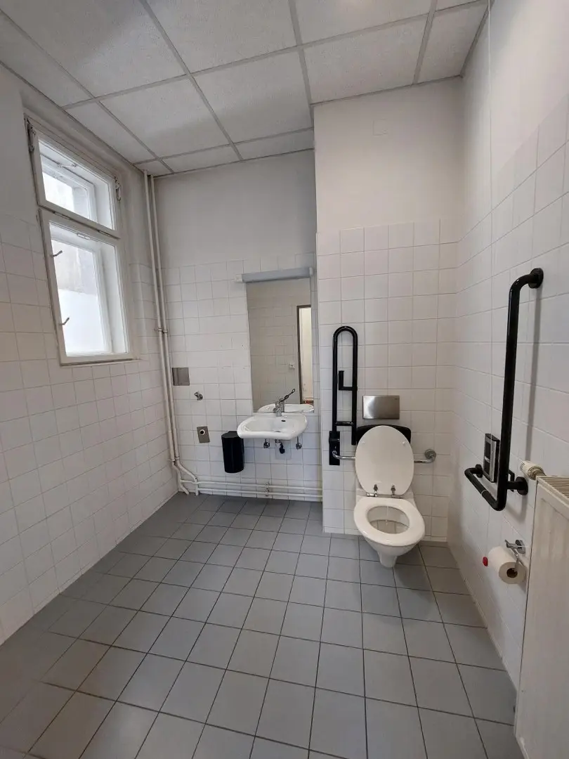 Behinderten-WC 3.01A