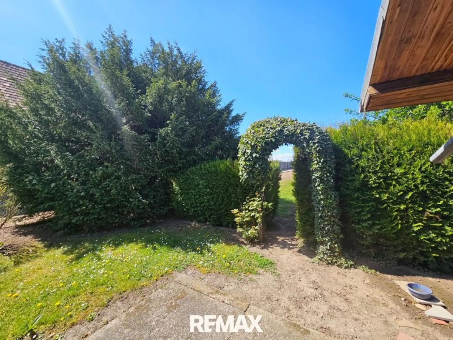 Garten (1)