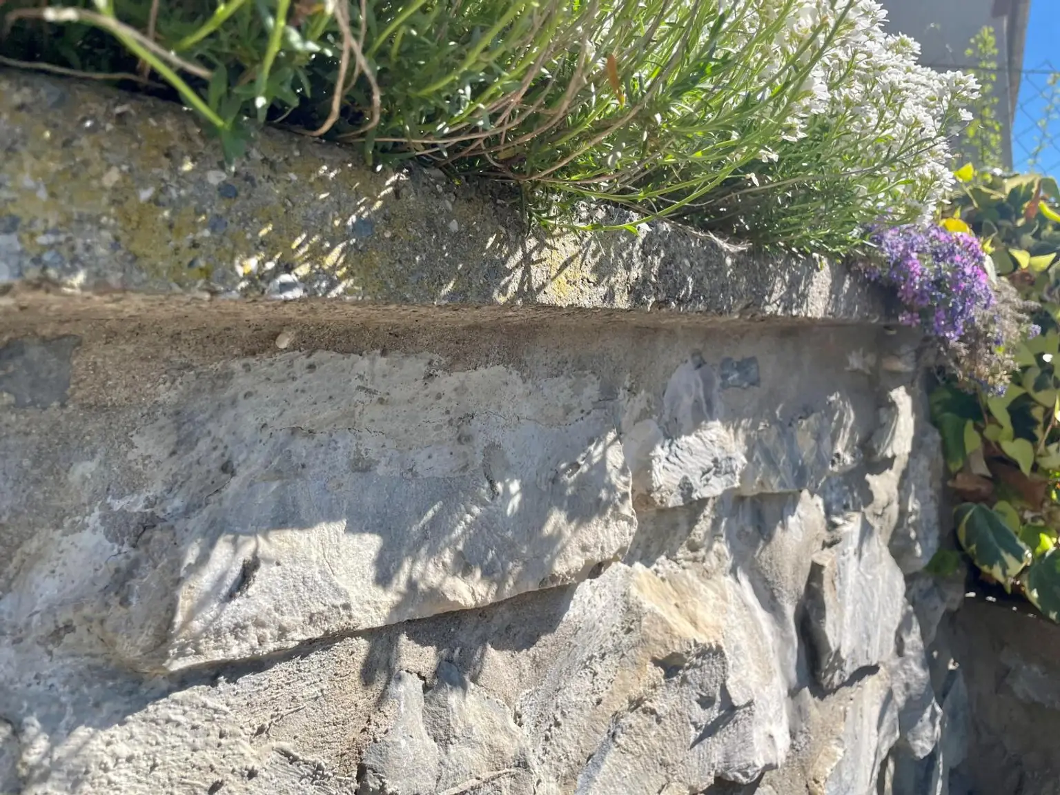 Gartendetail Steinmauer