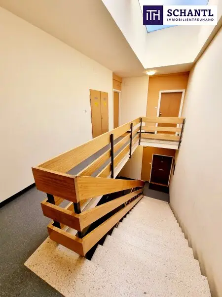 Ruheoase im Grünen! Sonnig. Saniert. Einfach super! Erstbezug mit Wohlfühlfaktor! 4 Zimmer + 2 Balkone + Garagenplatz + Hochwertige Einbauküche! Grün wohin das Auge reicht!