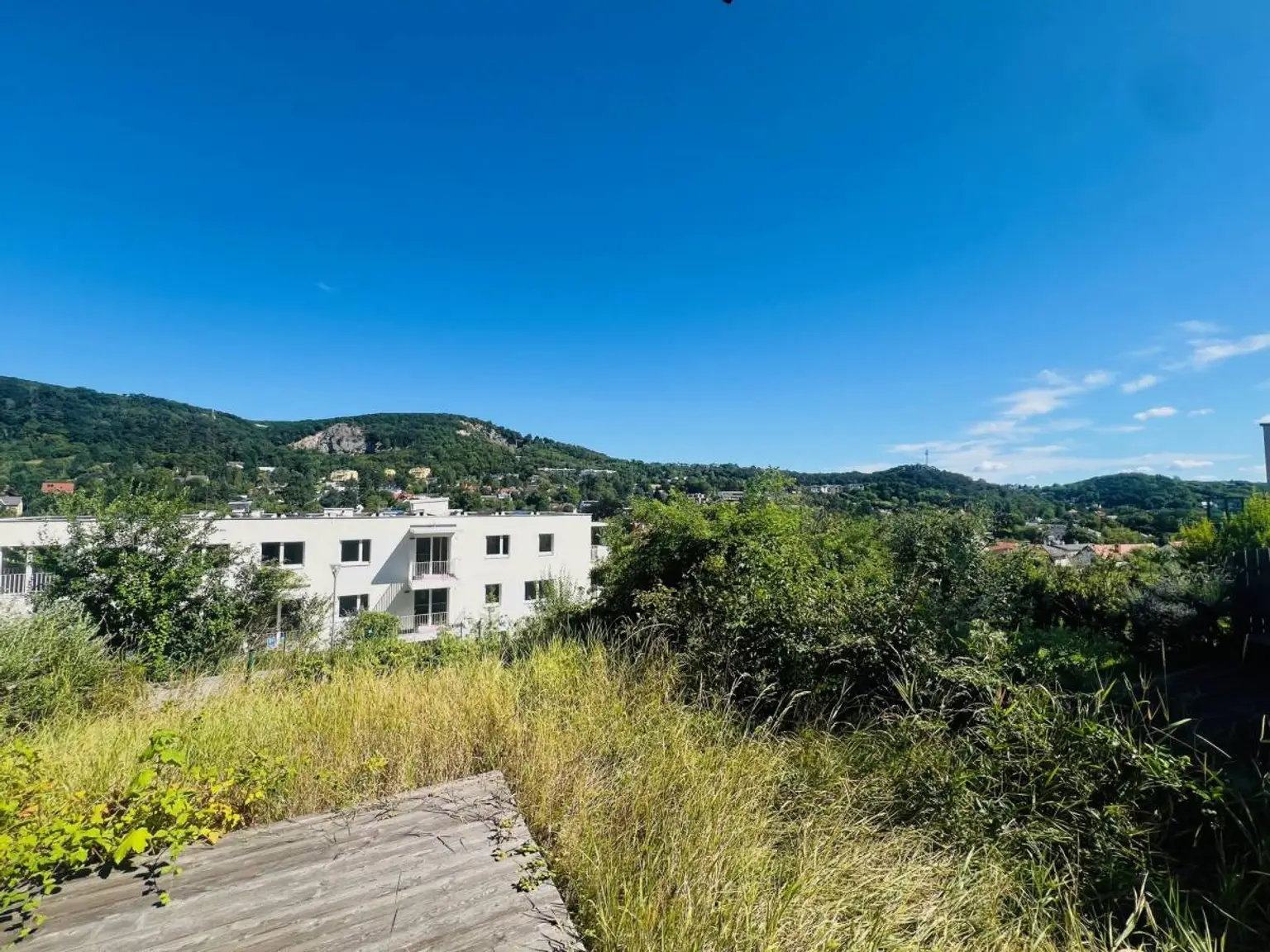 2a | ++ Ruhig leben, grün genießen ++ CHARMANTE Zwei-Zimmer-Gartenwohnung | Prima Service Immobilien