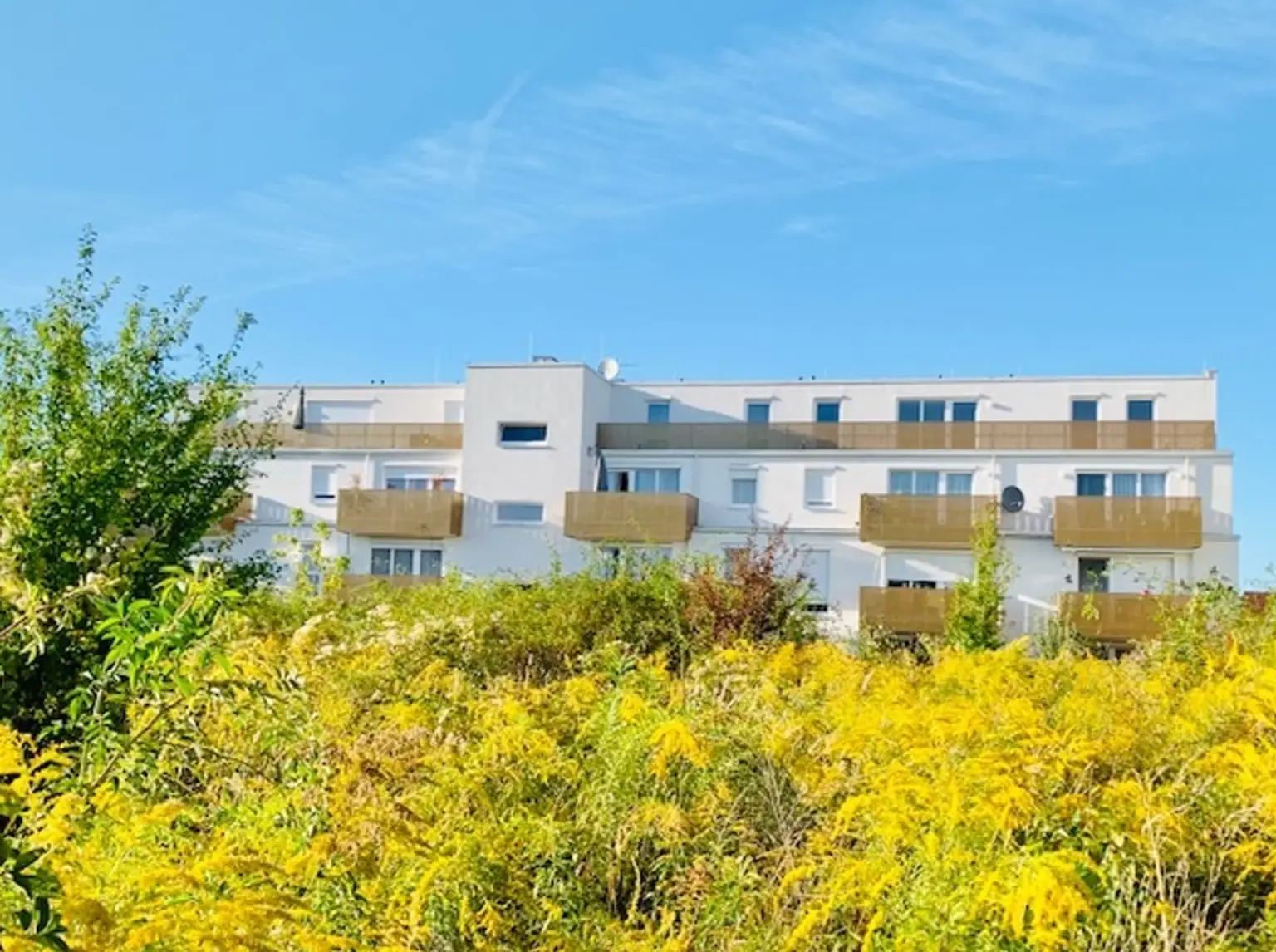 Blick zur Panoramaterrasse