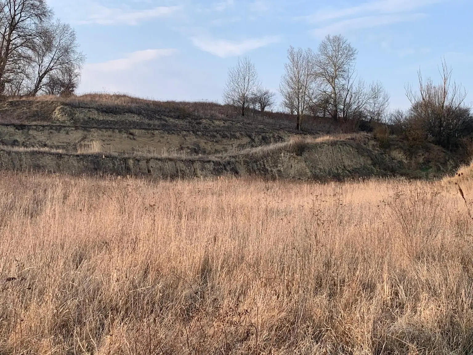 INDUSTRIEGRUNDSTÜCK - 40 Minuten vor Wien