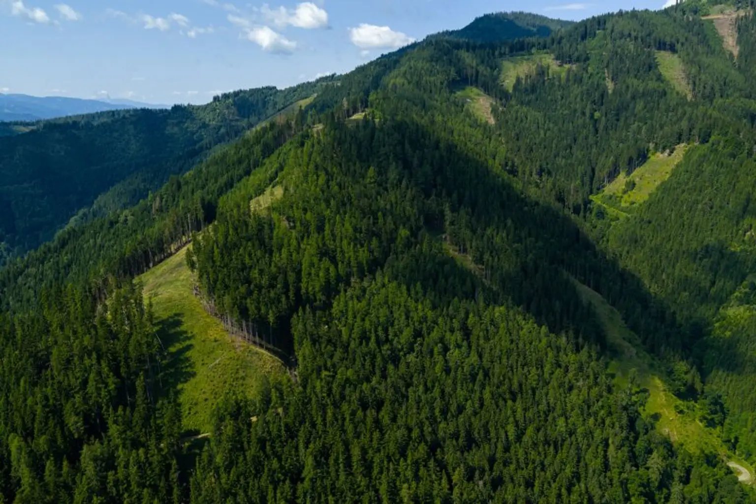 123 ha Eigenjagd mit hohem Altholzbestand