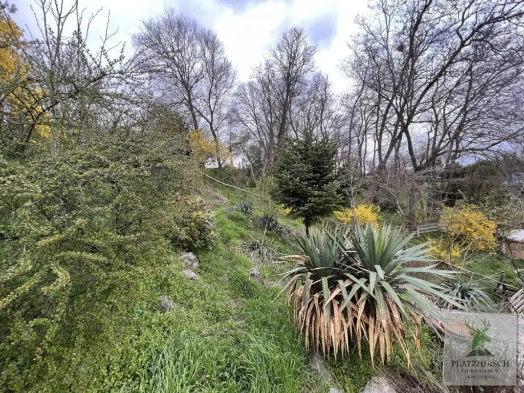 Einzigartiges Liebhaberobjekt mit toskanischem Flair, riesigem Garten, herrlichem Wintergarten, in Prottes - 35 Min von Wien - 8 Minuten von Gänserndorf
