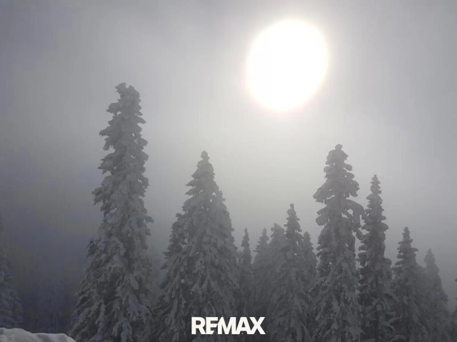 Winter, Sonne, Nebel, Schnee
