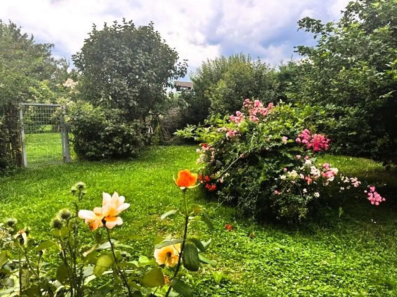 Familien(t)raum mit Garten - Jetzt einziehen!