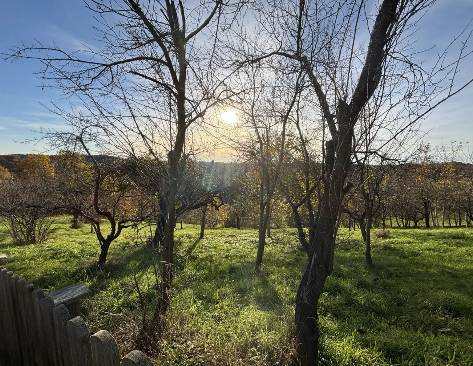 6.026m² Land und Forstwirtschaftliche Fläche in Ruppersdorf