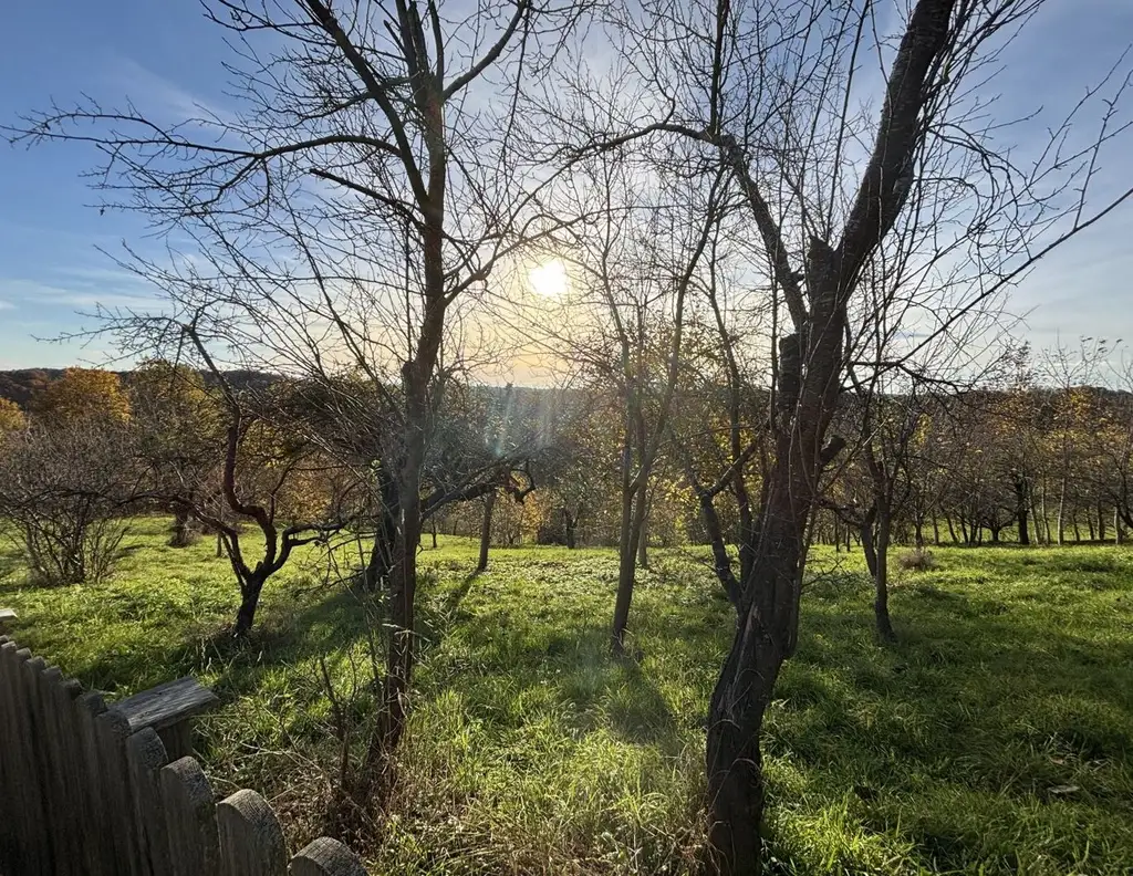 6.026m² Land und Forstwirtschaftliche Fläche in Ruppersdorf