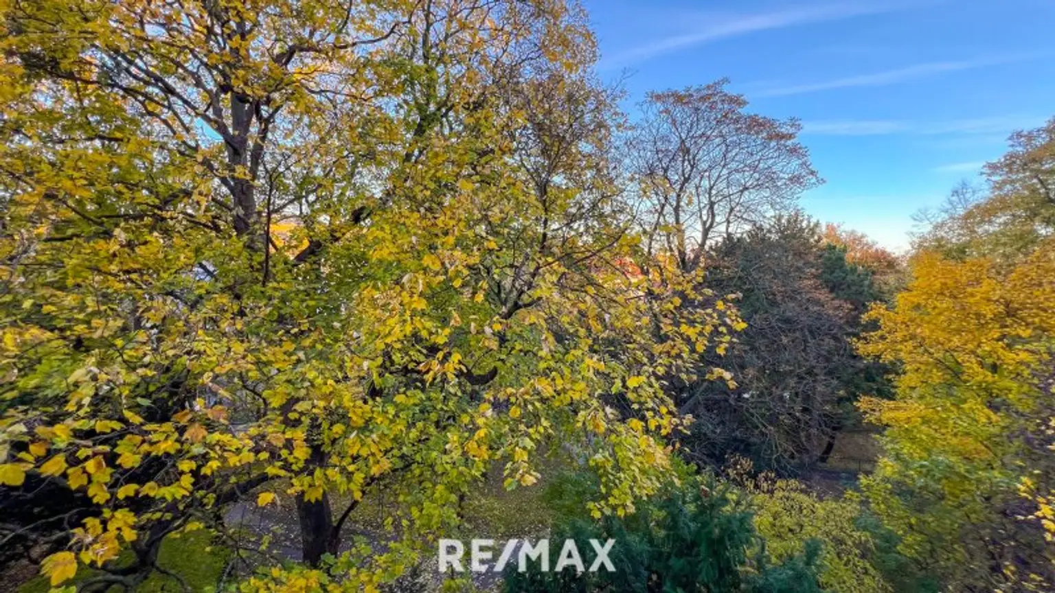 Exklusive 3-Zimmer-Wohnung mit großer Terrasse und Grünblick