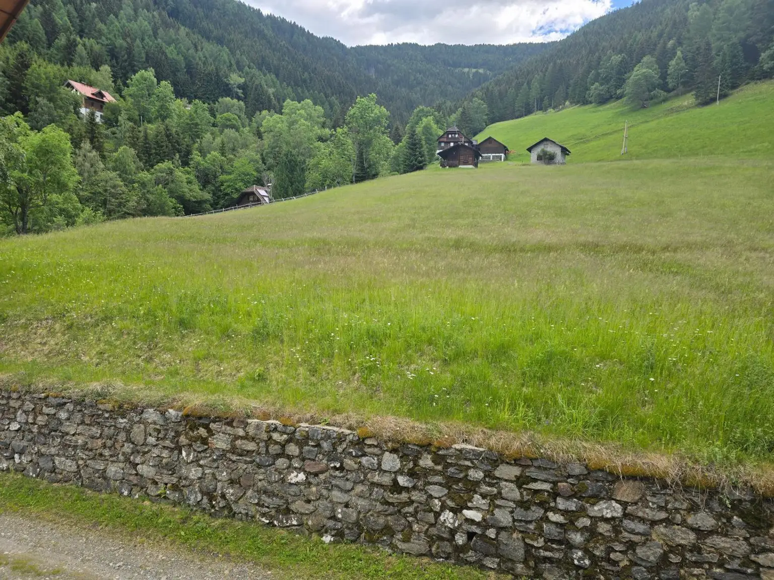 leicht abfallendes Gelände
