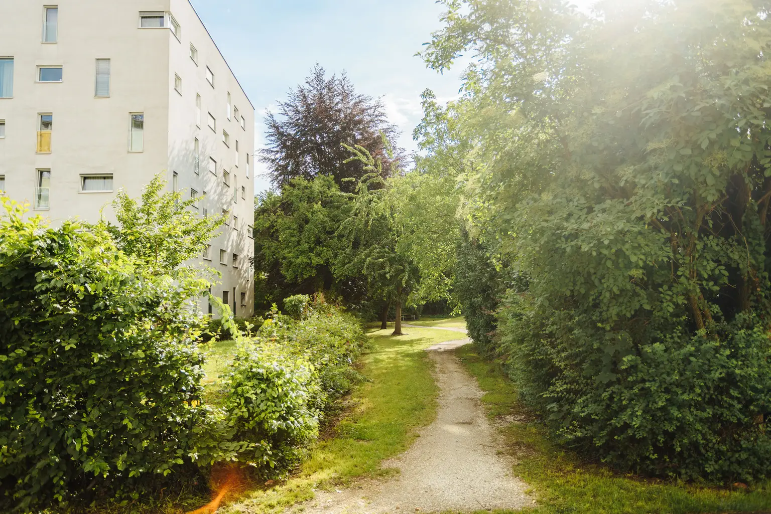 Grünanlage ums Haus