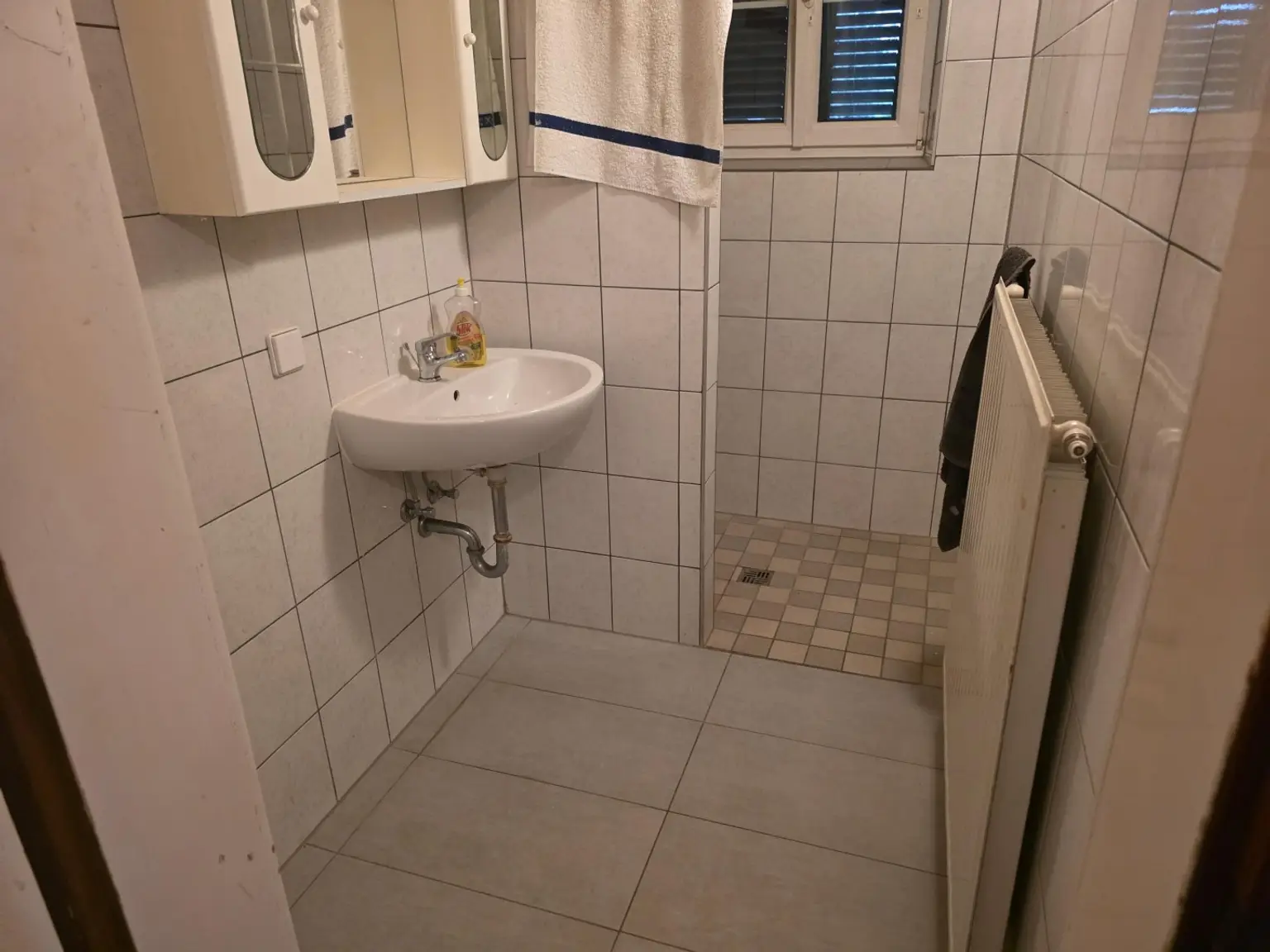 leistbares Anwesen mit Potenzial