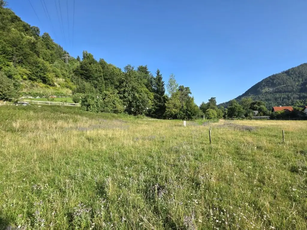 Sonniges Wohnerlebnis mit schöner Aussicht!