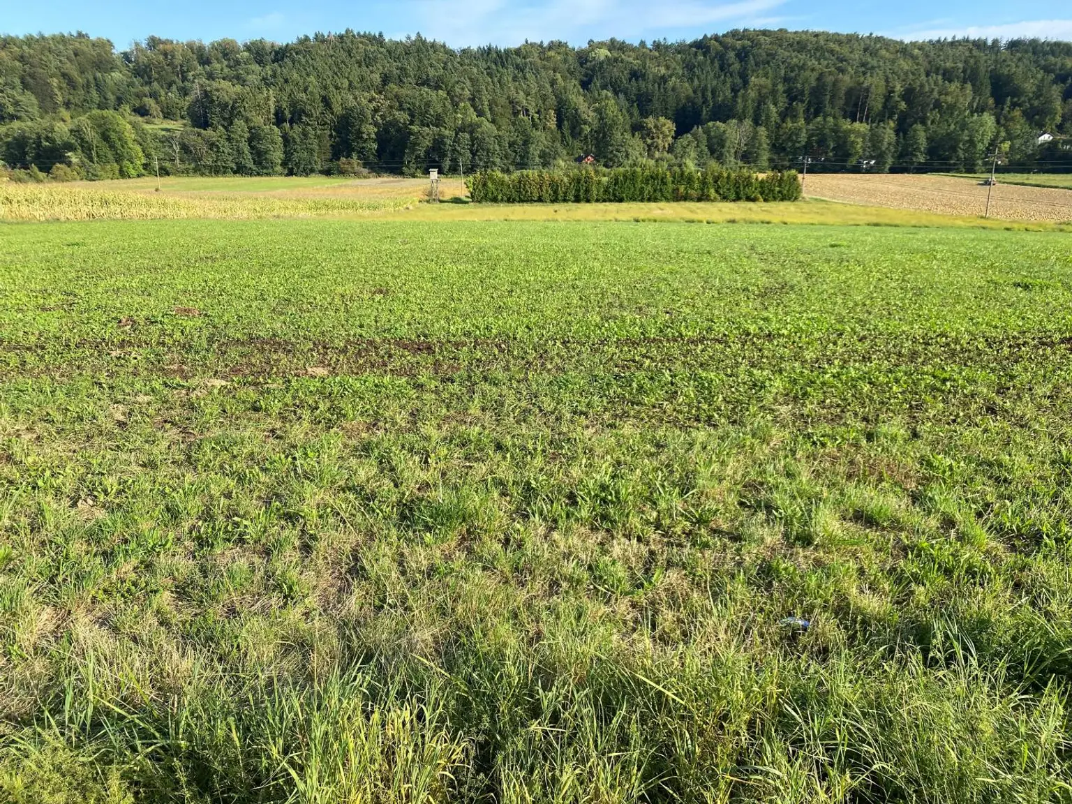Gewerbegrundstück und Freiland in gefragter Lage nahe Graz