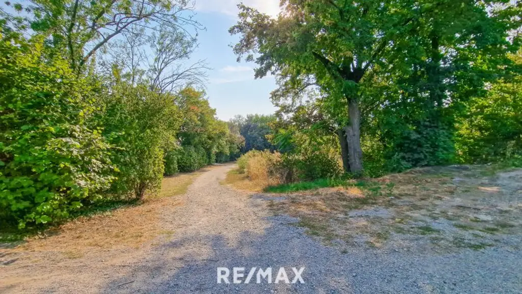 Erstbezug-Doppelhaushälften in Schwechat mit Luxus-Ausstattung und Panoramablick über den Felmeyergarten. Grünruhelage mit sehr guter Infrastruktur in Gehweite