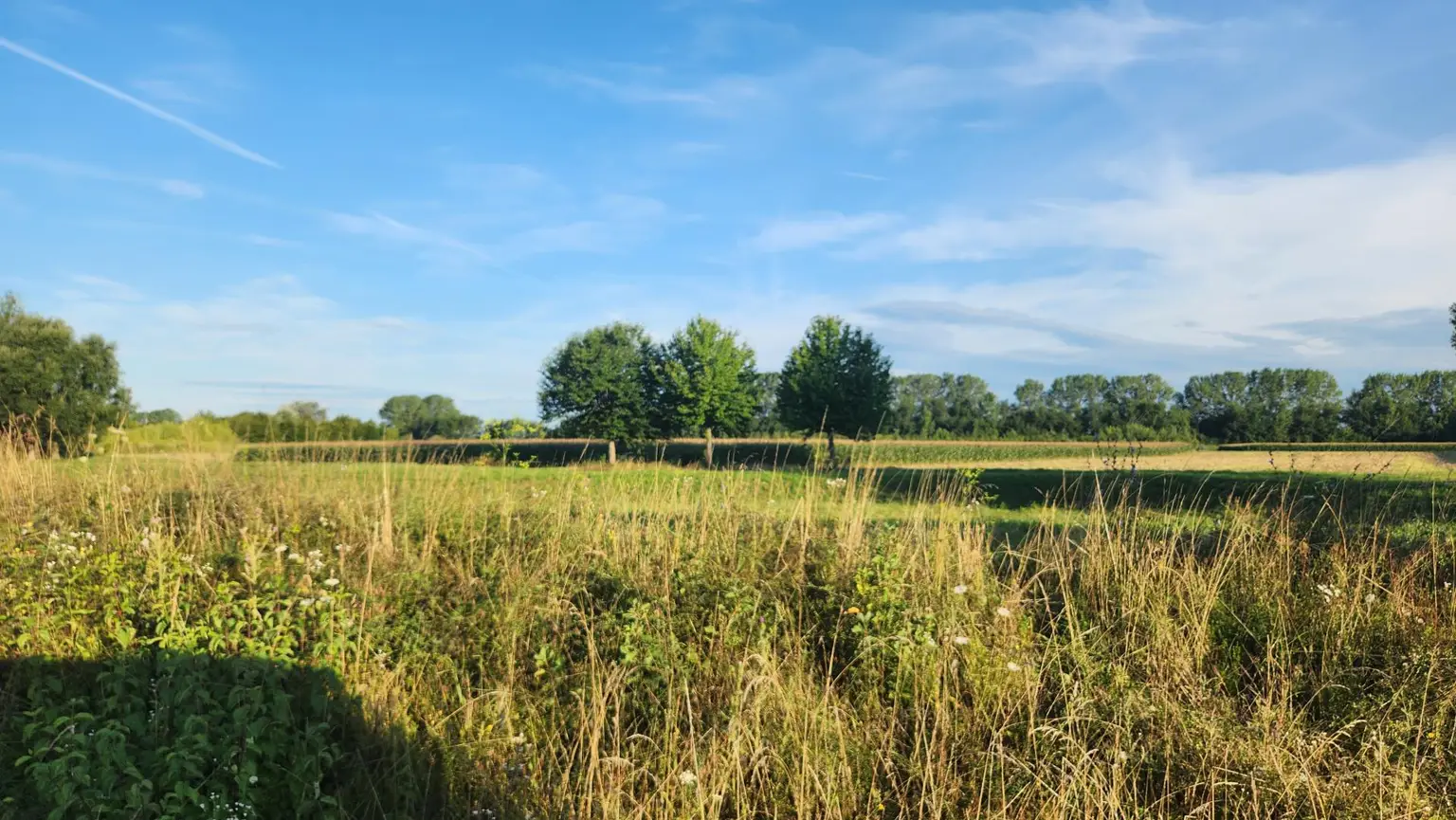 EINE SELTENE GELEGENHEIT AUF EINE KLEINE ACKERFLÄCHE IN FREUNDORF - ZUSAMMENHÄNGENDE LANDWIRTSCHAFTLICHE FLÄCHE
