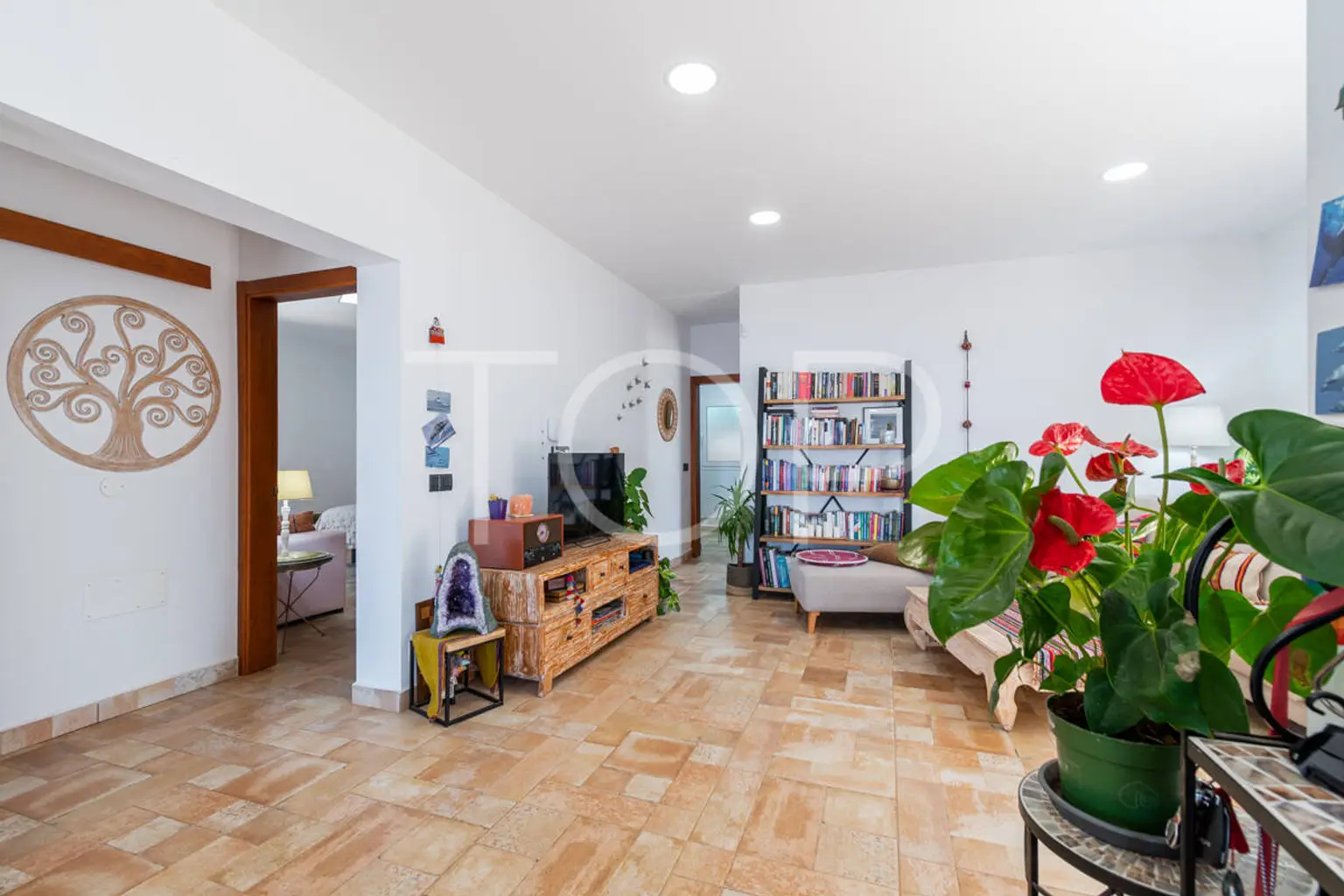 Anwesen-Chio-xxx-Teneriffa-3