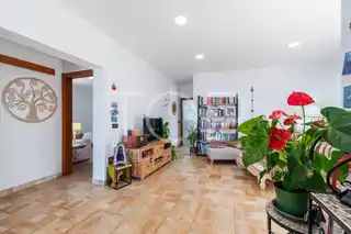 Anwesen-Chio-xxx-Teneriffa-3