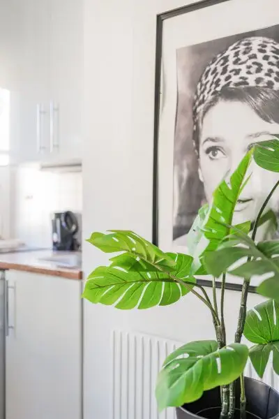 Moderne 1 Zimmer City-Wohnung am Ziehrerplatz – möbliert Nahe Rochusmarkt