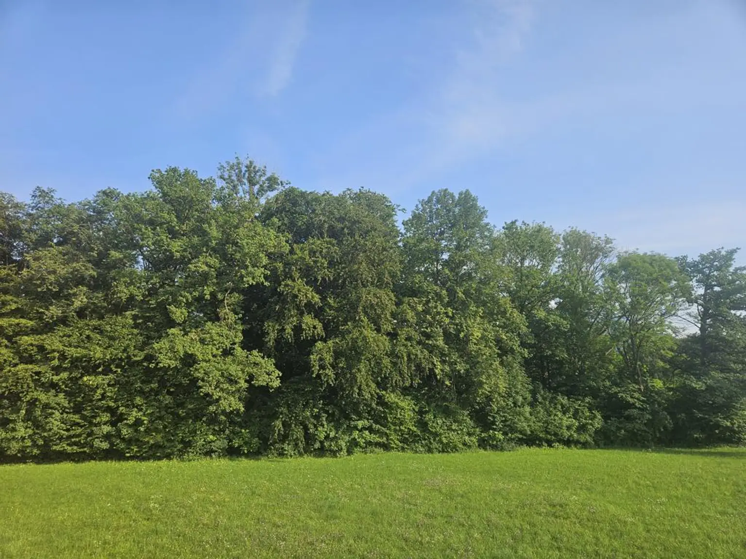 Provisionsfrei! Neubauprojekt Holzhäuseln: leistbare 75m² ETW mit Garten in Waldrandlage mit Traunsteinblick