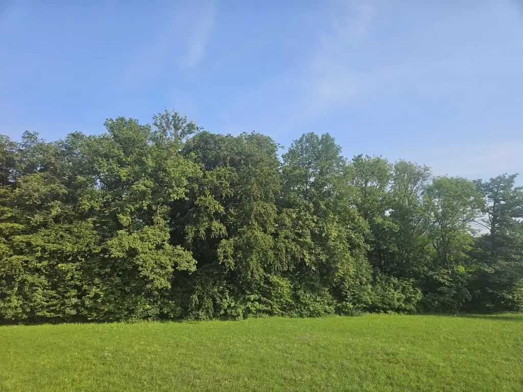 Provisionsfrei! Neubauprojekt Holzhäuseln: leistbare 75m² ETW mit Garten in Waldrandlage mit Traunsteinblick
