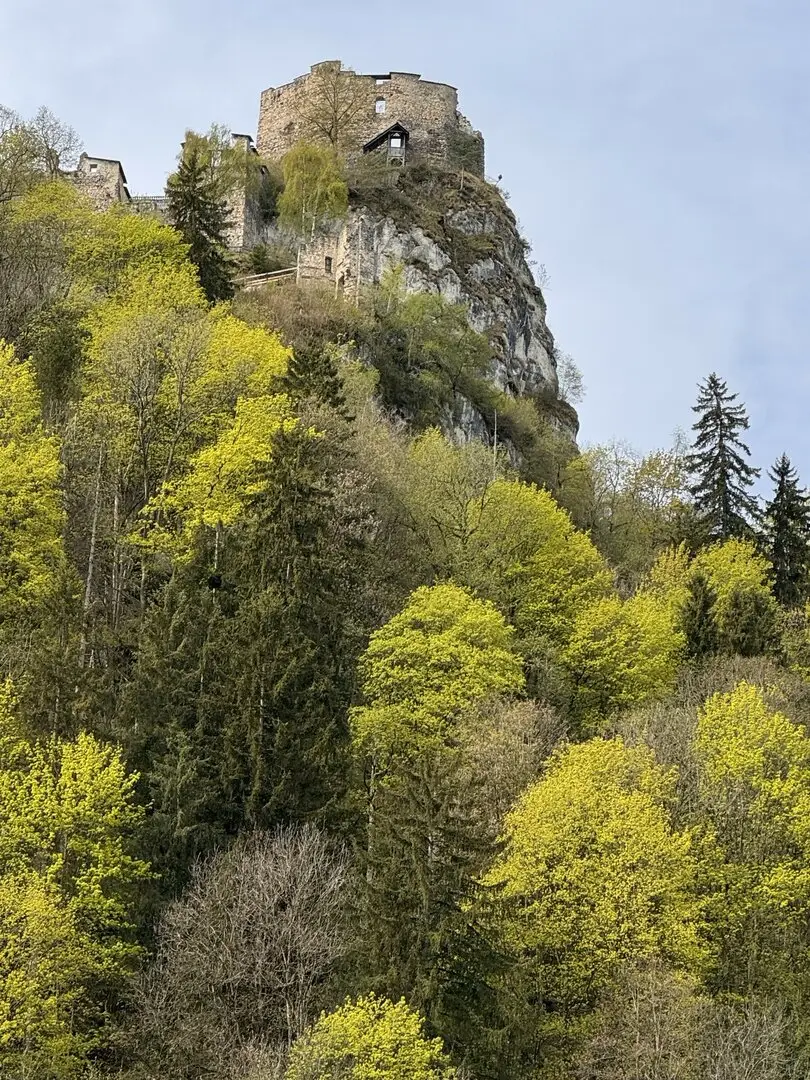 36_Ruine_IMG_6092