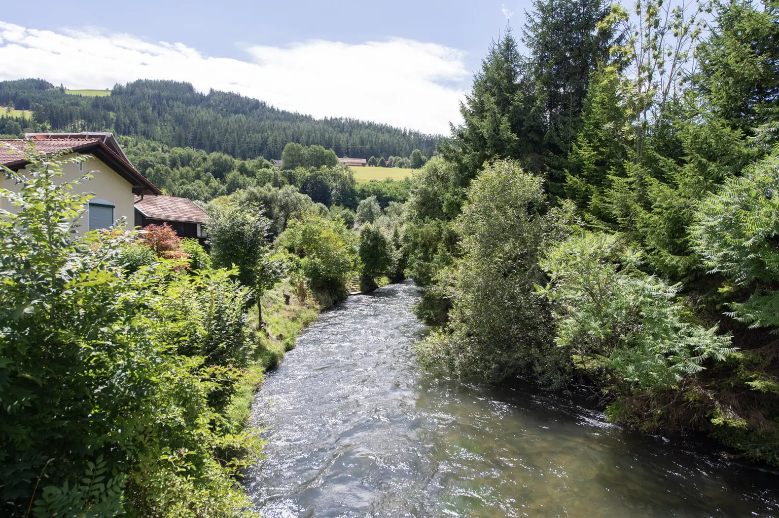 Charmante Eigentumswohnung mit Entwicklungspotenzial & Baugrundstück am idyllischen Mürzufer